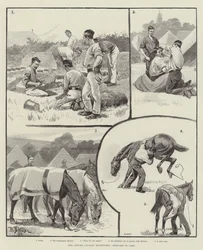 Die Herbstmanöver der Kavallerie, Skizzen im Lager